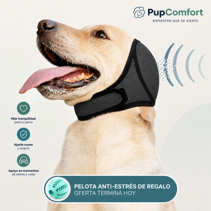 Orejera Calmante CalmaCan™ para Perros